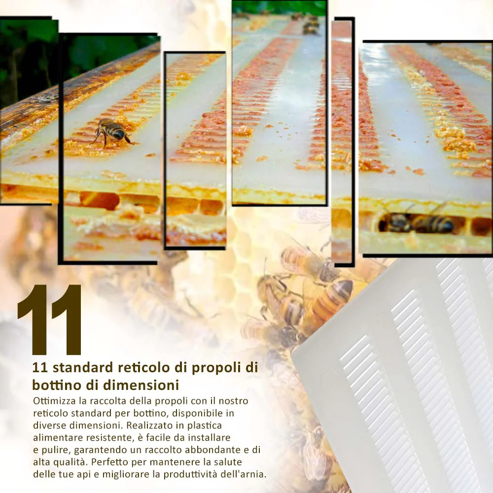 11 standard reticolo di propoli di bottino di dimensioni - Image 12