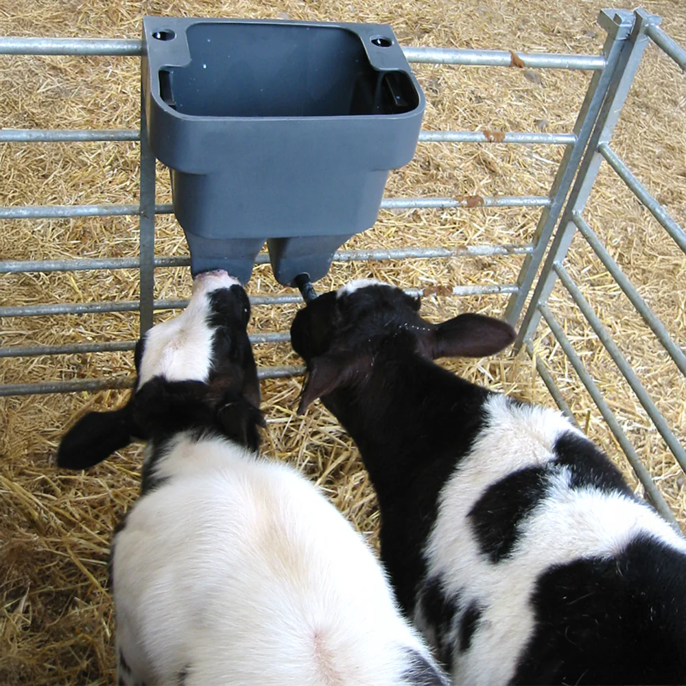 Accessori per l'allevamento dei vitelli Abbeveratoio Milkbar - Image 3