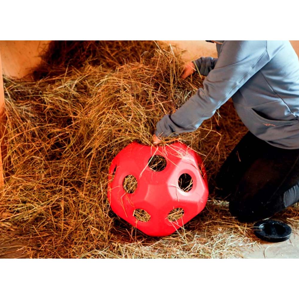 Accessori per vitelli HeuBoy Sfera di alimentazione - Image 11