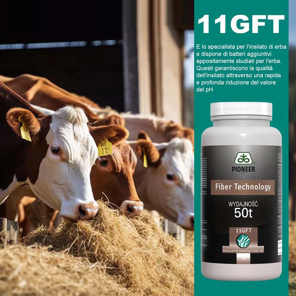 Additivi insilati Pioneer 11GFT Fiber Tec 50g - Image 5