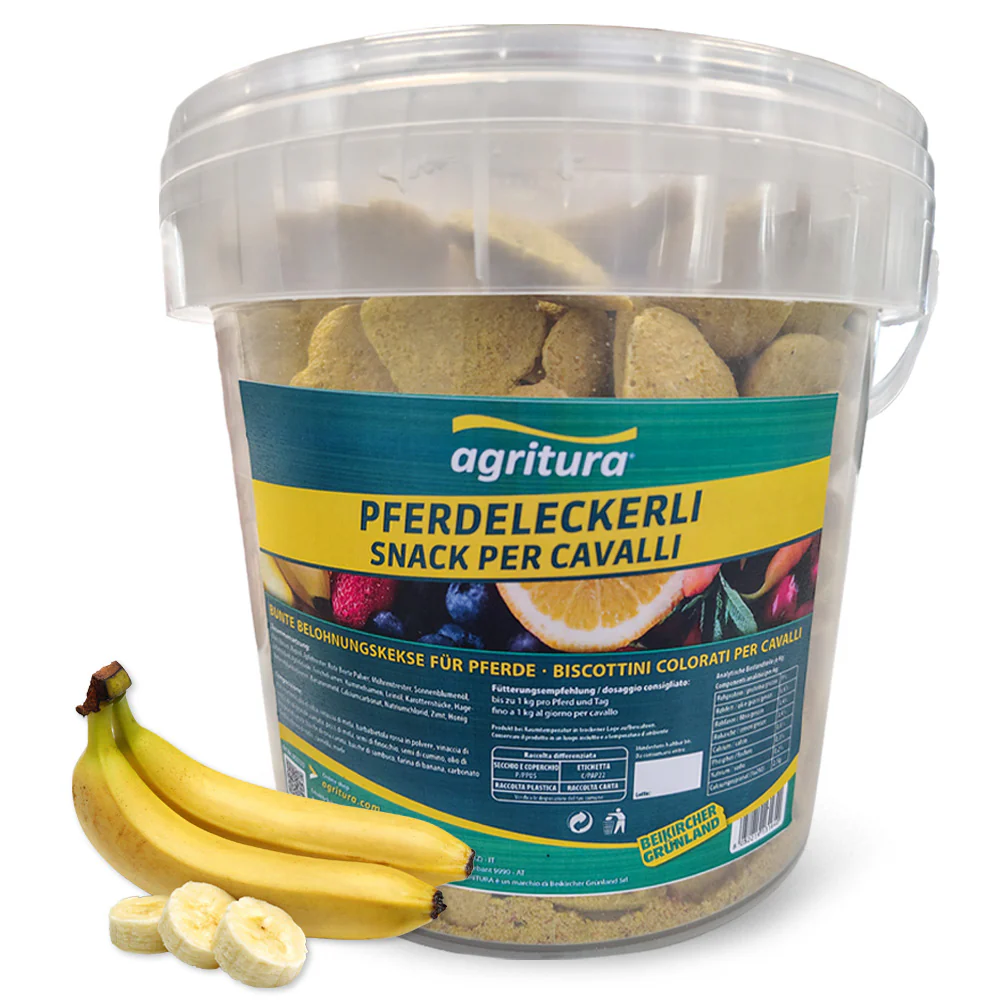 Agritura Biscotti per Cavalli Banana - Snack Naturali Croccanti 3,3L