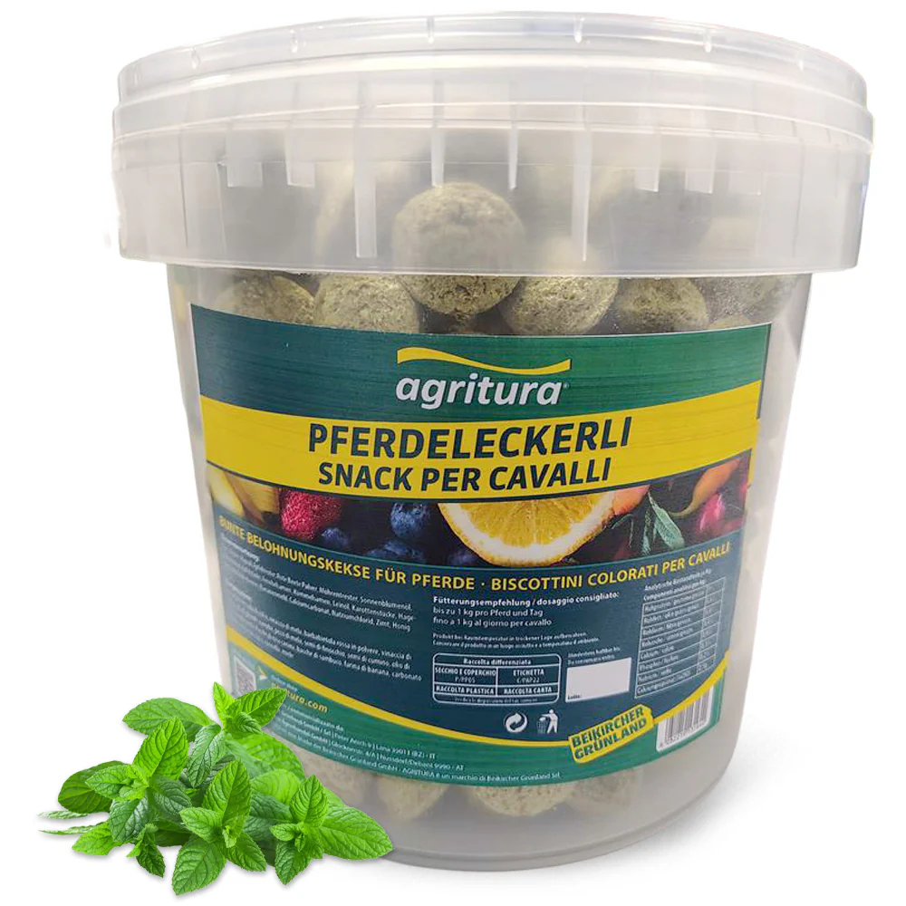 Agritura Biscotti per Cavalli Menta - Snack Naturali Croccanti 3,3L