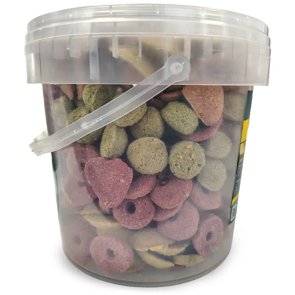 Agritura Biscotti per Cavalli Mix Gusti - Snack Naturali Croccanti 3,3L - Image 2