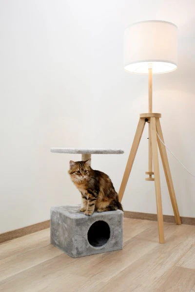 Albero tiragraffi Amethyst per gatti - Image 4