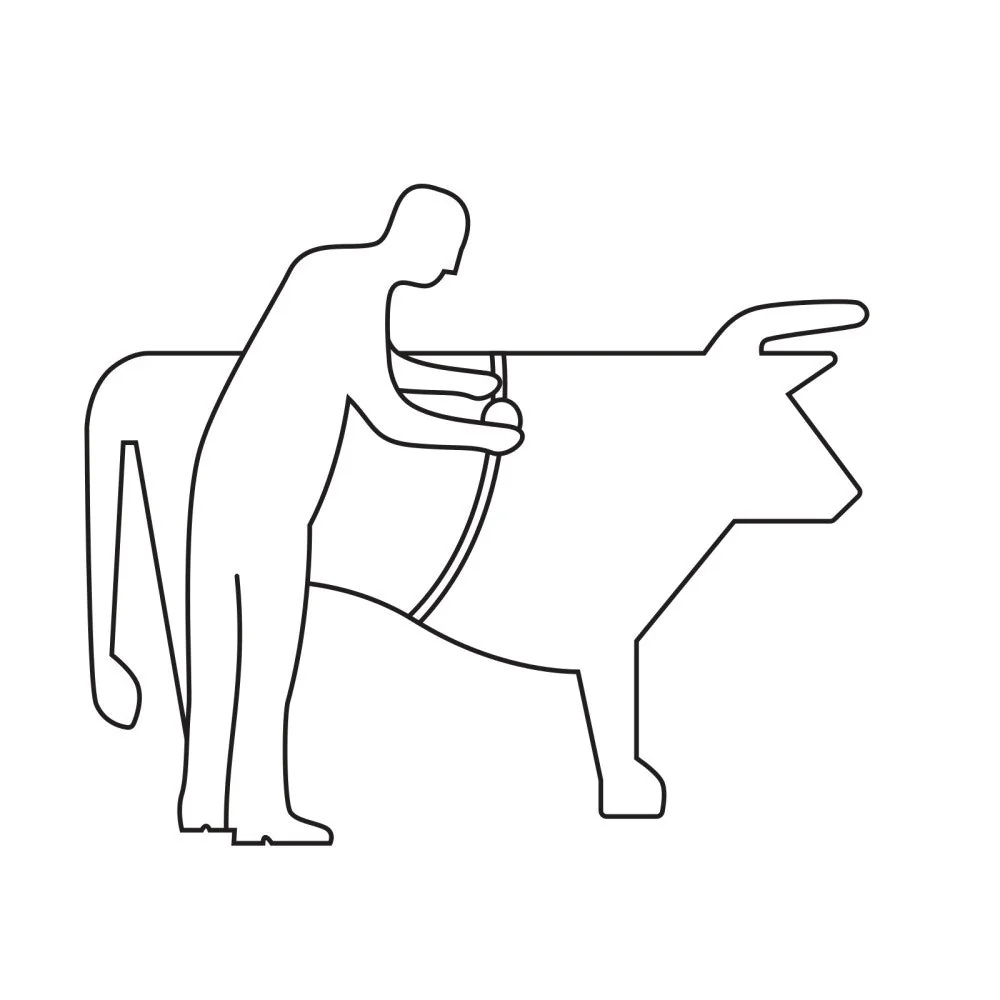 Animeter Nastro di misurazione per bestiame - Image 2