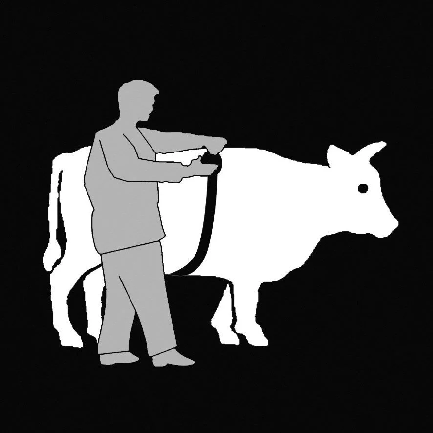 Animeter Nastro di misurazione per bestiame - Image 5