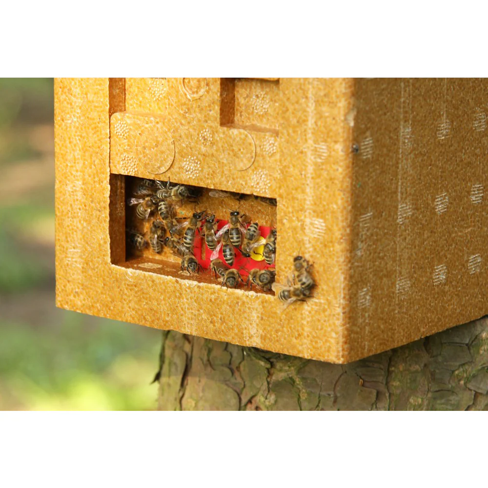 Apidea scatola di accoppiamento - Image 7