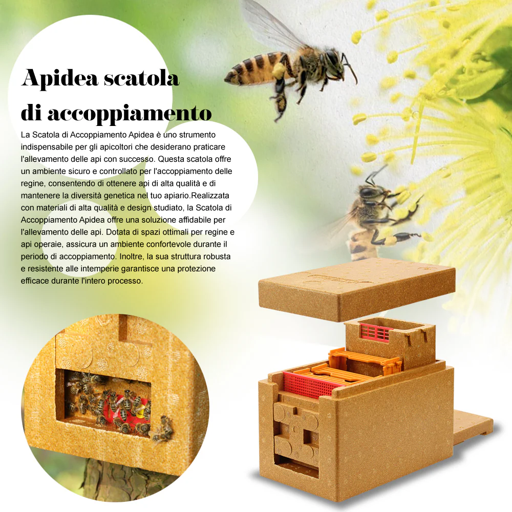 Apidea scatola di accoppiamento - Image 9