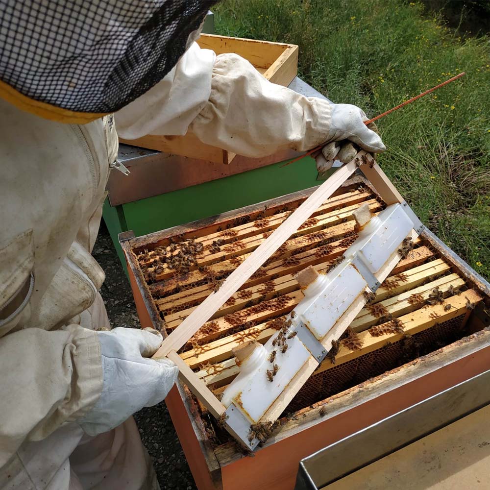 Apifor Medicinale veterinario a base di Acido Formico contro la varroa - Image 5