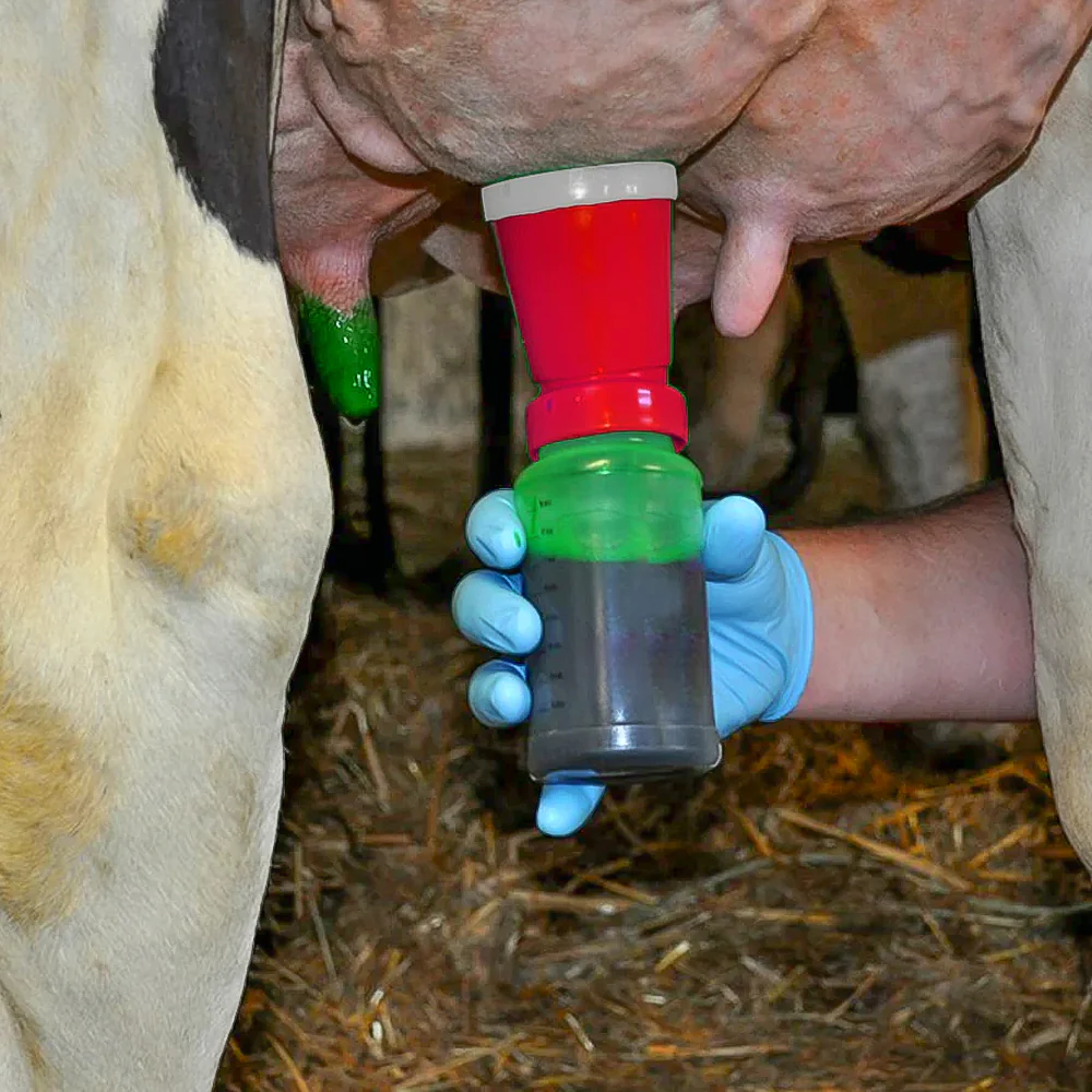 Applicatore per Immersione del Capezzolo - Dispositivo per Igiene della Mammella per Bovini - Pulizia e Disinfezione Sicura - Image 13
