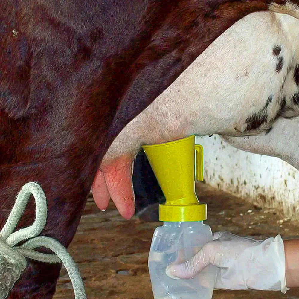 Applicatore per Immersione del Capezzolo - Dispositivo per Igiene della Mammella per Bovini - Pulizia e Disinfezione Sicura - Image 7