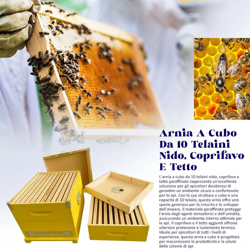 Arnia A Cubo Da 10 Telaini Nido, Coprifavo E Tetto - Image 18