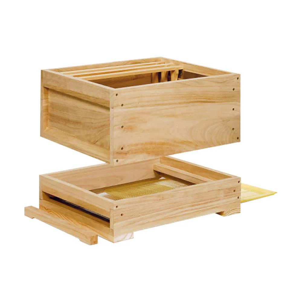 Arnia completa liebig zander con arnia in legno fondo piatto - Image 5