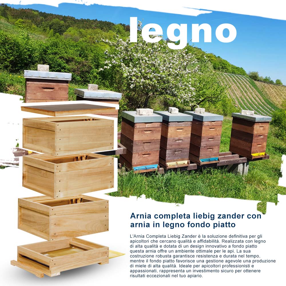 Arnia completa liebig zander con arnia in legno fondo piatto - Image 9