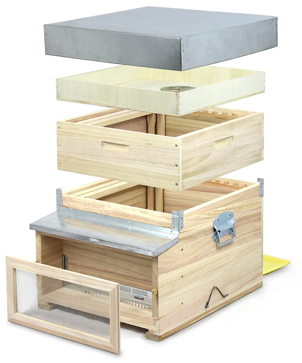 Arnia in Legno Holzbeute Trento 12W Dadant Blatt Completa
