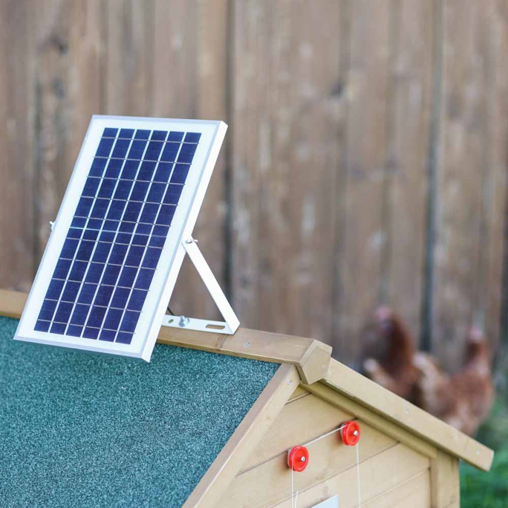 Batteria solare impostata per porta automatica per polli - Image 5