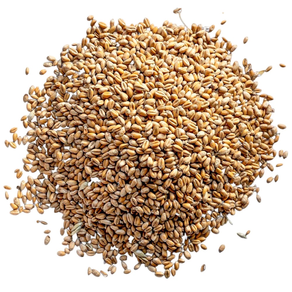 Beikircher Mangimi – Chicchi di frumento (Sfuso/Big Bag/30kg) - Image 3