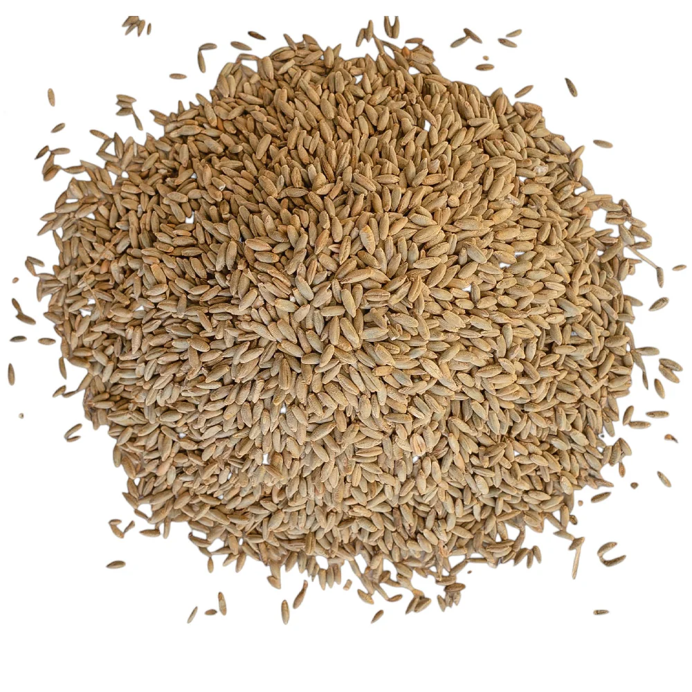 Beikircher Mangimi – Chicchi di segale (Sfuso/Big Bag/30kg) - Image 3