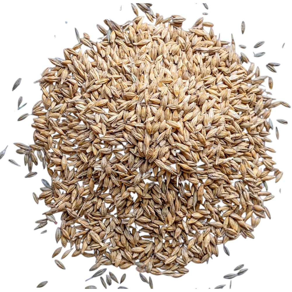 Beikircher Mangimi – Chicchi d'orzo (Sfuso/Big Bag/30kg) - Image 3