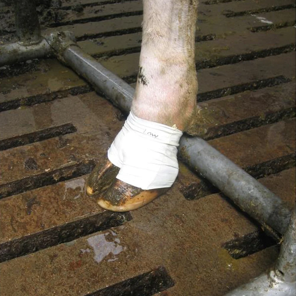 Bendaggio Medicazione per zoccoli VetTape - Image 6