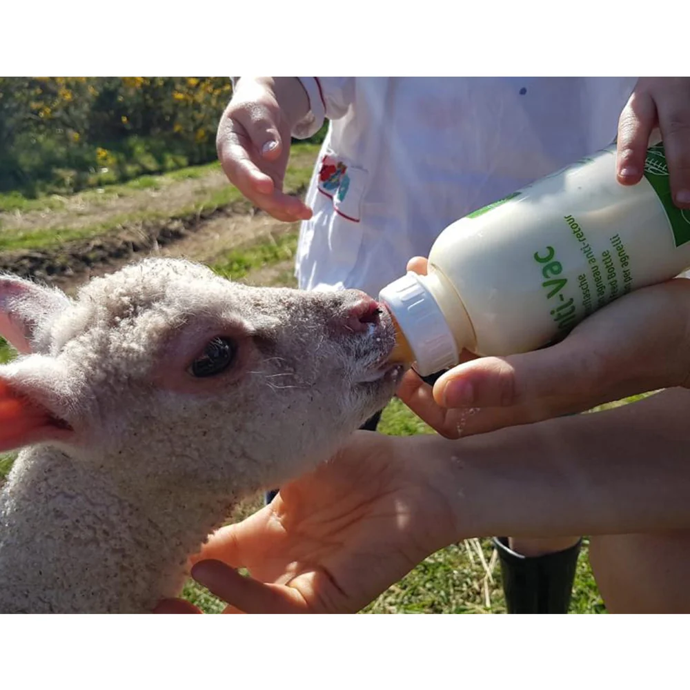 Biberon per agnelli Anti-Vac con tettarella per un facile riempimento, 450ml - Image 3