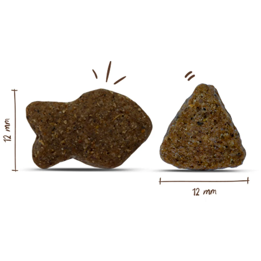 Bosch Adult Salmone Fresco e Patate Crocchette Complete per Cani - Image 3
