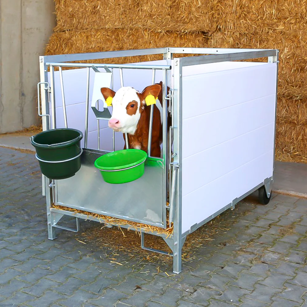 Box per vitelli con griglia antiscivolo e pannelli PVC - Image 15