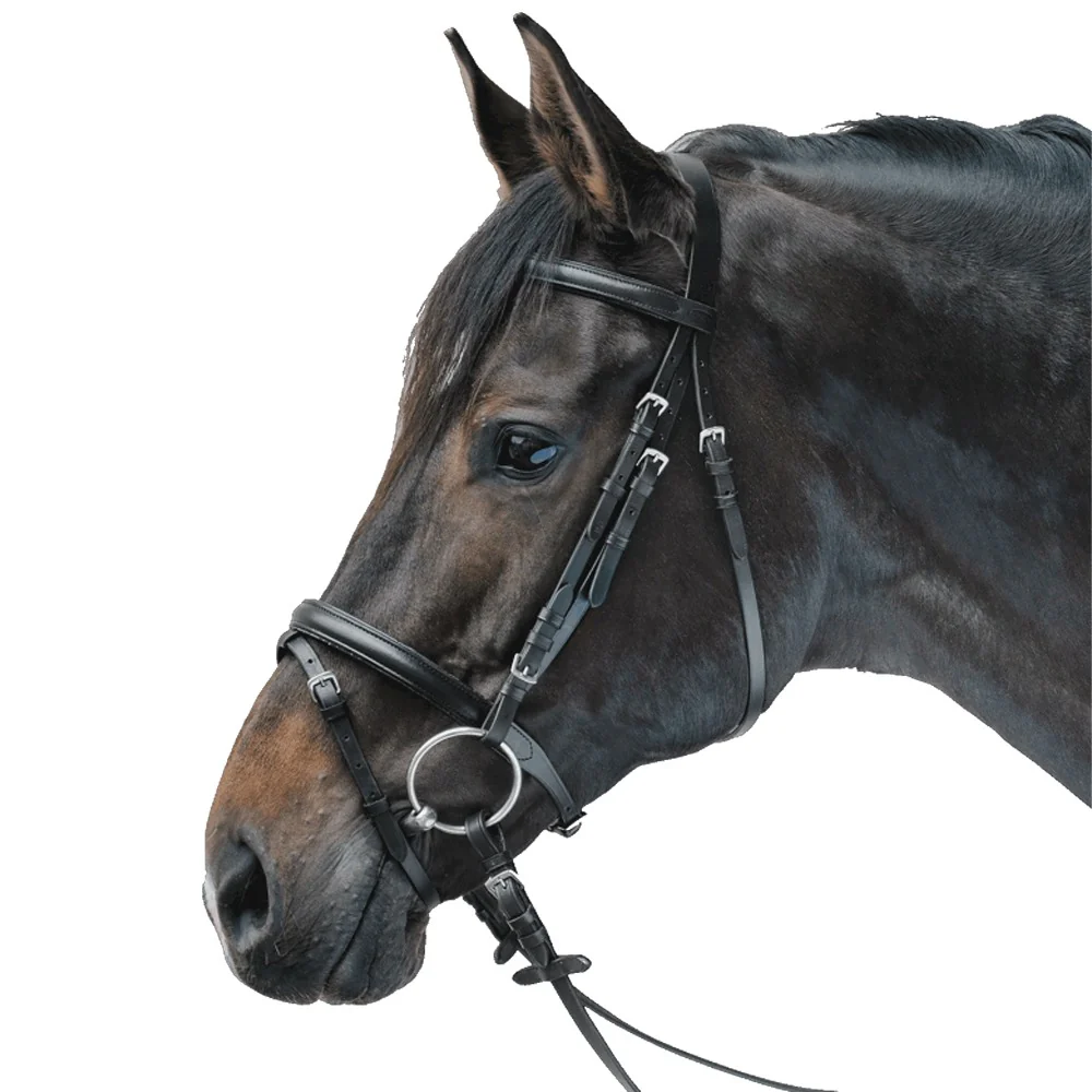 Briglia STAR Lifestyle in Pelle Economica Comfort Cavallo