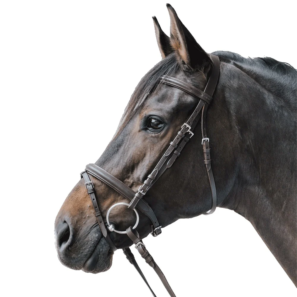 Briglia STAR Lifestyle in Pelle Economica Comfort Cavallo - Image 2