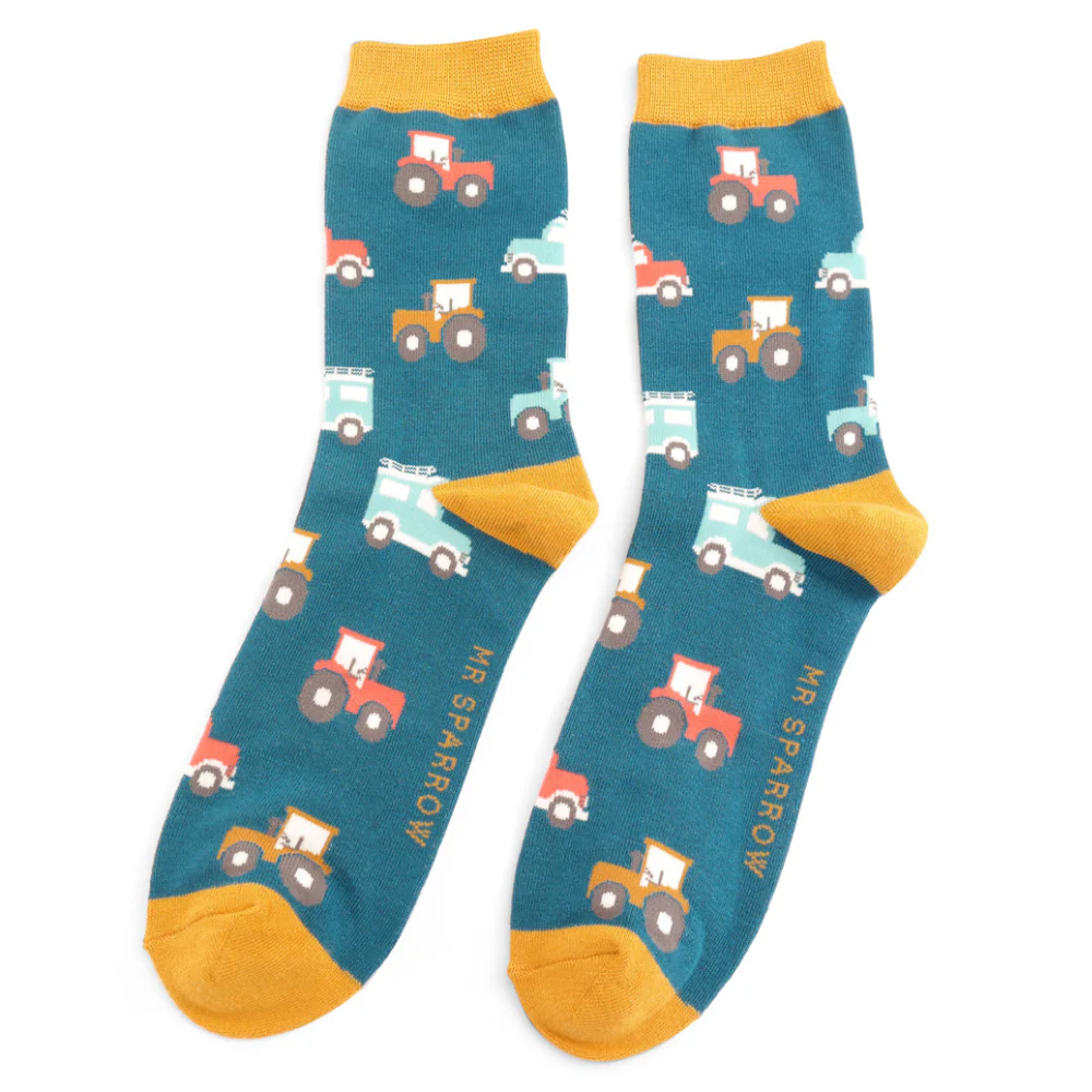 Calze Uomo in Bambù Miss Sparrow – Carote