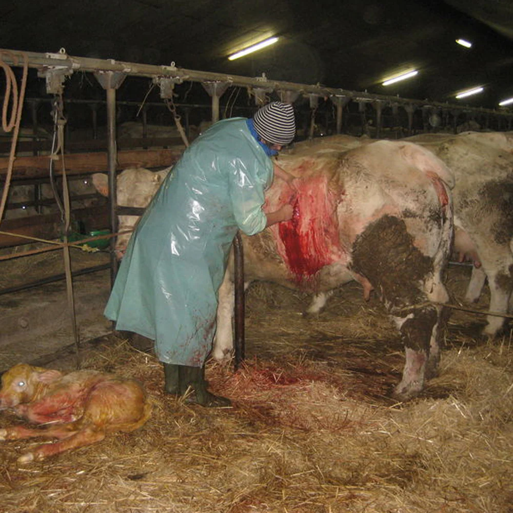 Camice veterinario in nylon verde - Image 5