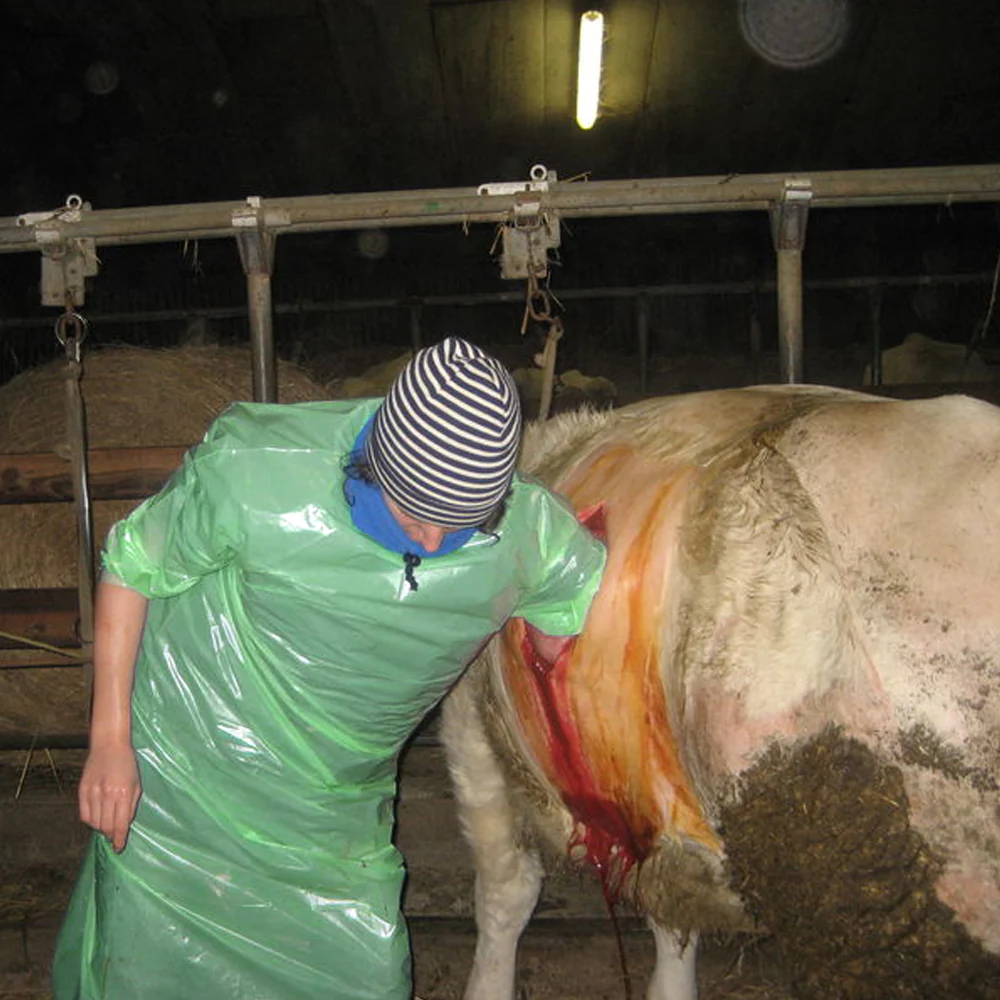 Camice veterinario in nylon verde - Image 6