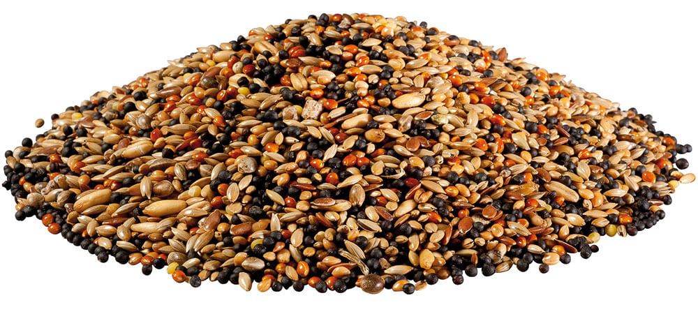 Panto alimento per canarine con pluramin 1 kg - Image 2