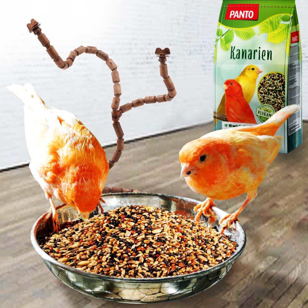Panto alimento per canarine con pluramin 1 kg - Image 3