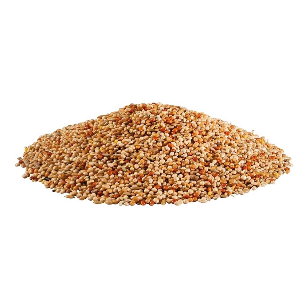 Cibo per pappagallini Panto-1kg - Image 4