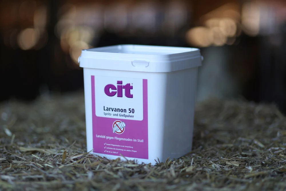cit Larvanon 2 SG - Image 2