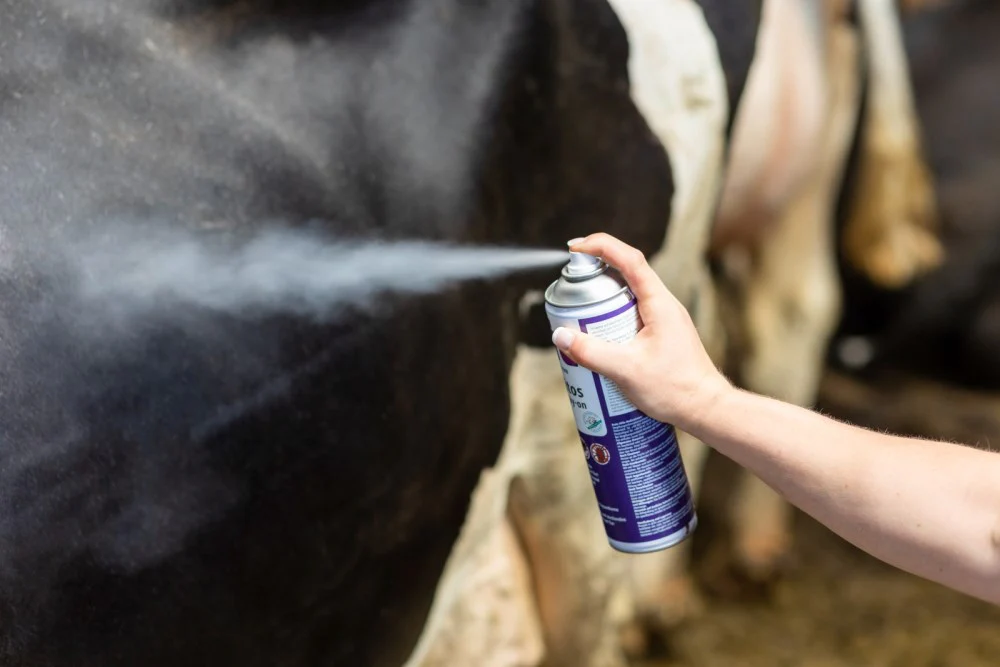 CIT Parasitos Spray-On 500ml - Image 3