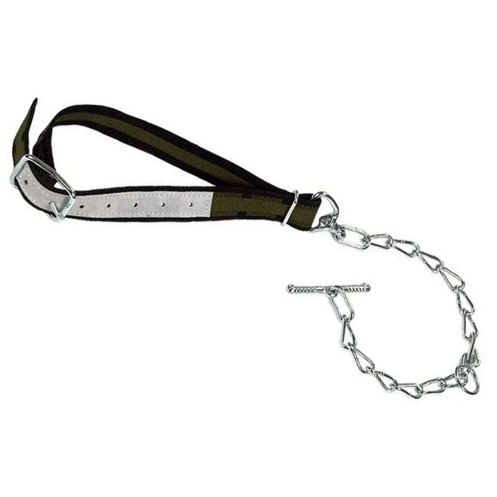 Collare 85 x 4cm con anello ovale