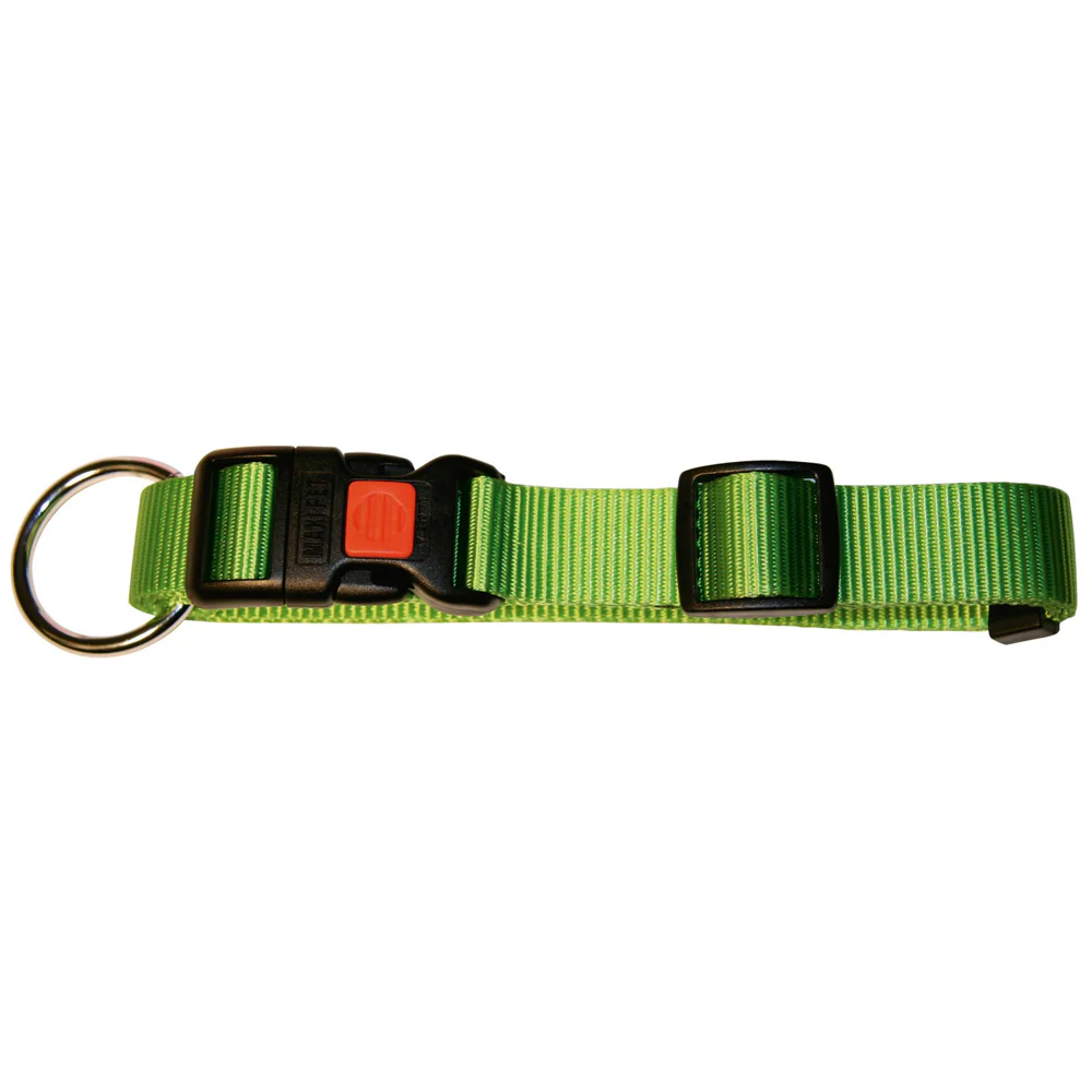 Collare Miami regolabile in nylon resistente con chiusura a clip - Image 8