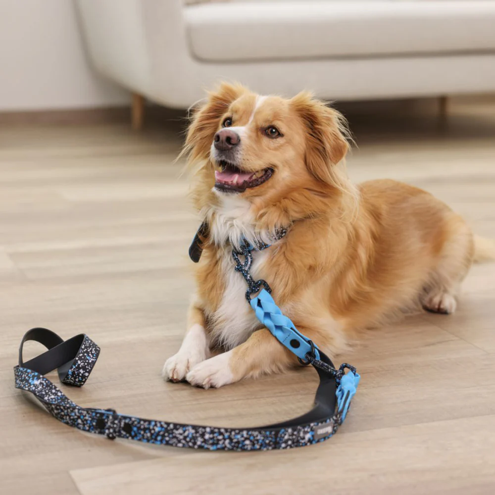 Collare Resistente Lima per Cani - Image 5