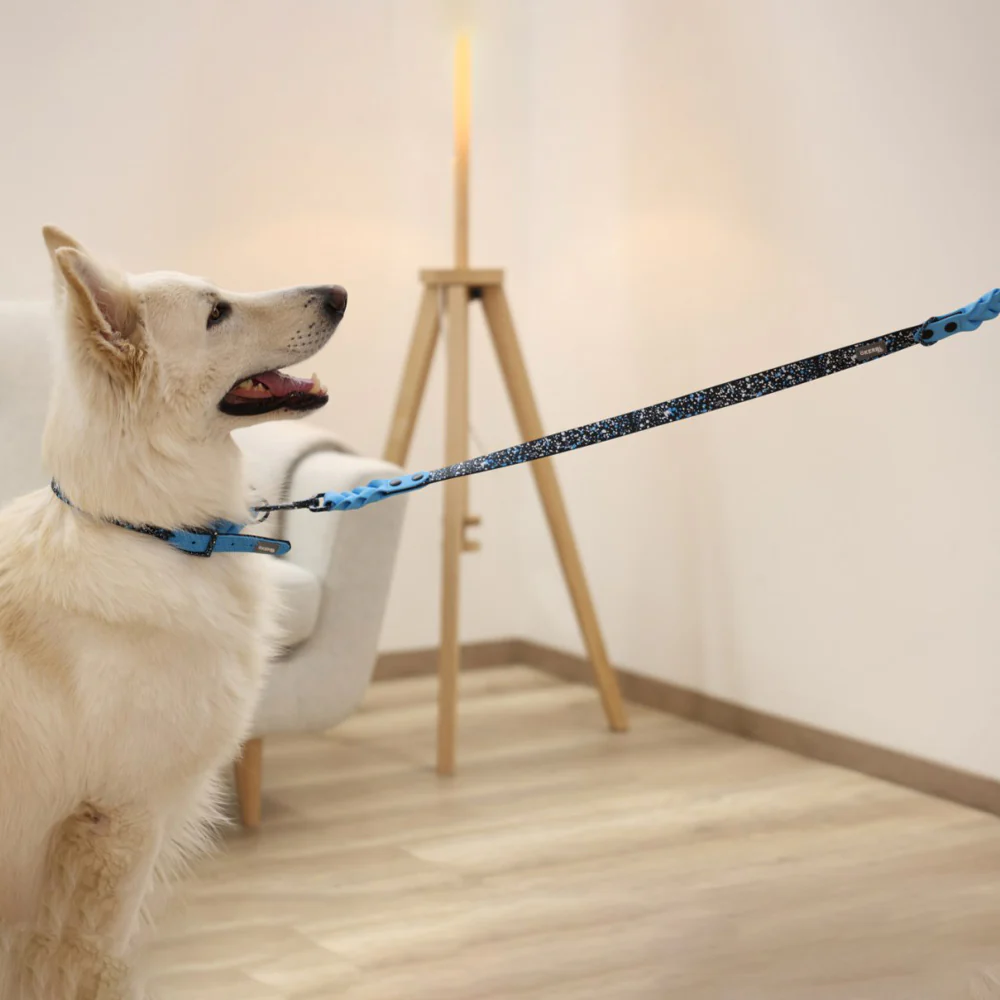 Collare Resistente Lima per Cani - Image 6