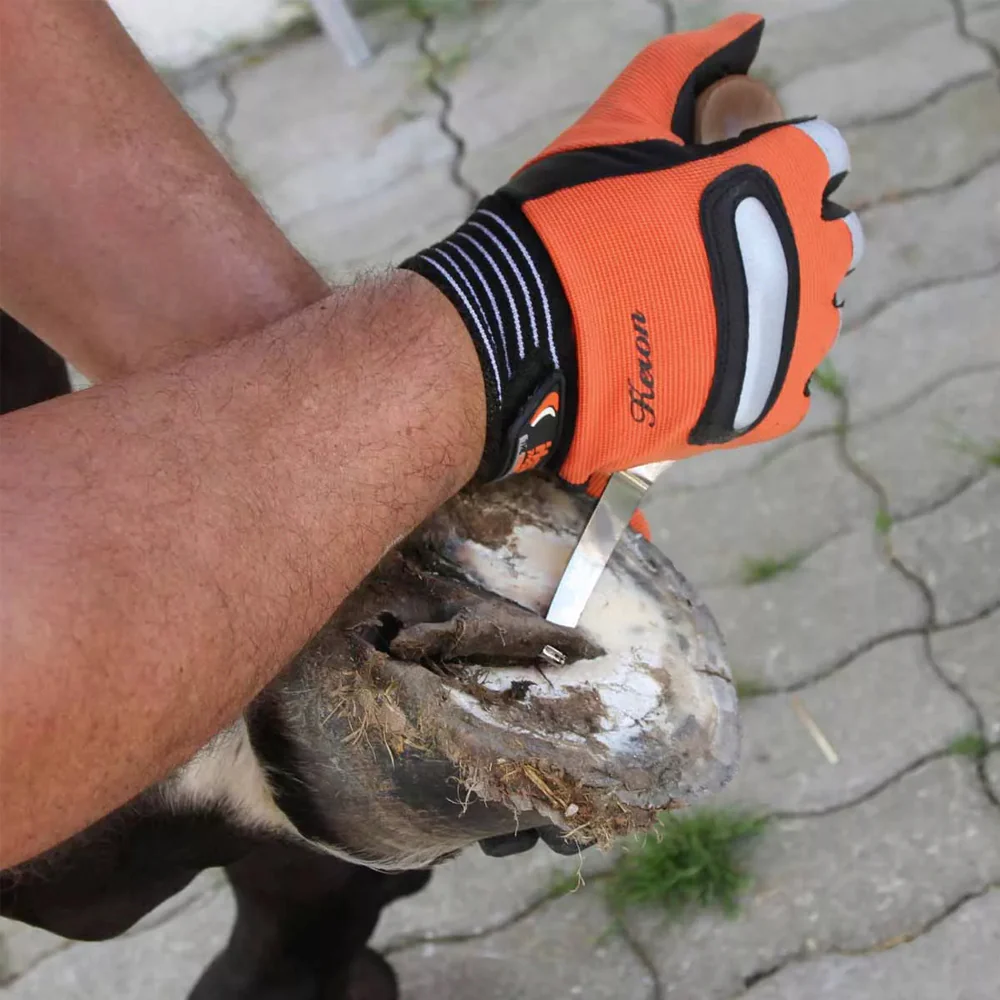 Coltello per zoccoli AESCULAP con manico in ebano - Image 2