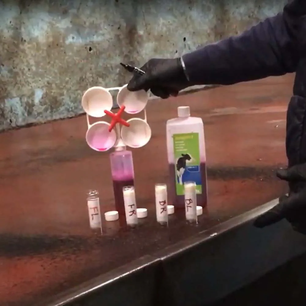 Controllo del latte Mastitis-Tester Orig. SHOOF - Image 9