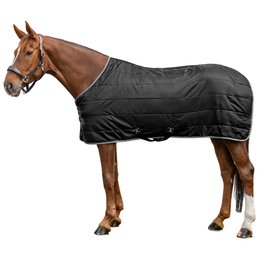 Coperta Box Cavallo Economic 300g Invernale Calda Comfort - Image 7
