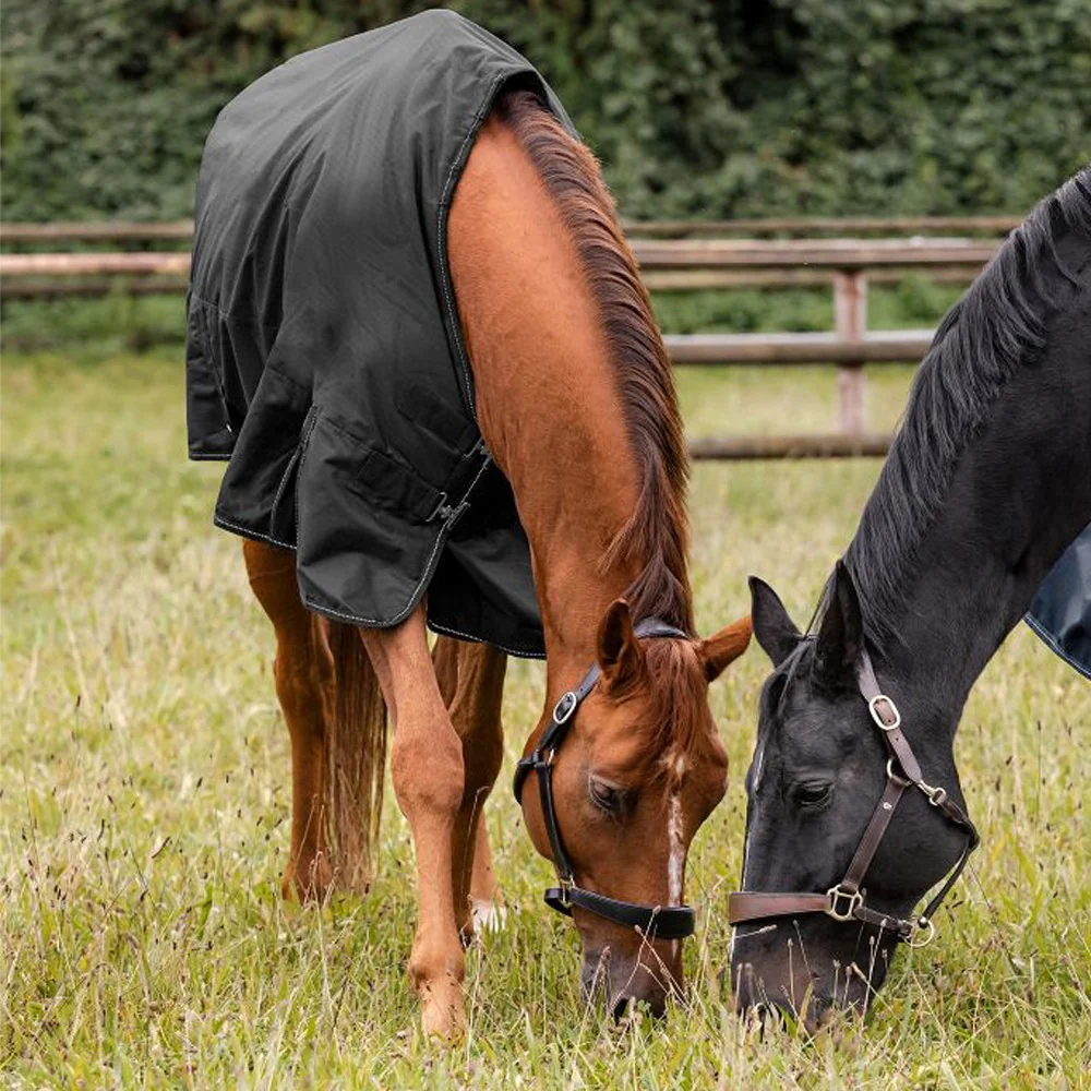 Coperta Cavallo Nordic 100g Impermeabile Outdoor Comfort - Image 15