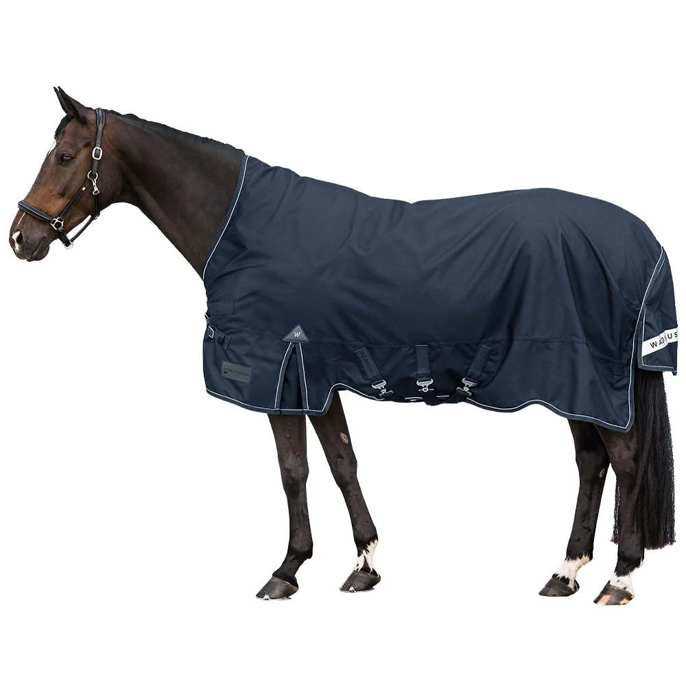Coperta Cavallo Scandic Collo Alto 100g Invernale Premium