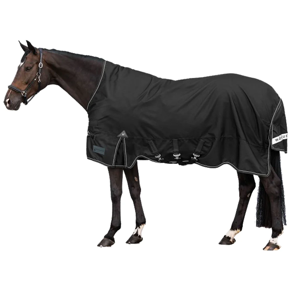 Coperta Cavallo Scandic Collo Alto 100g Invernale Premium - Image 14