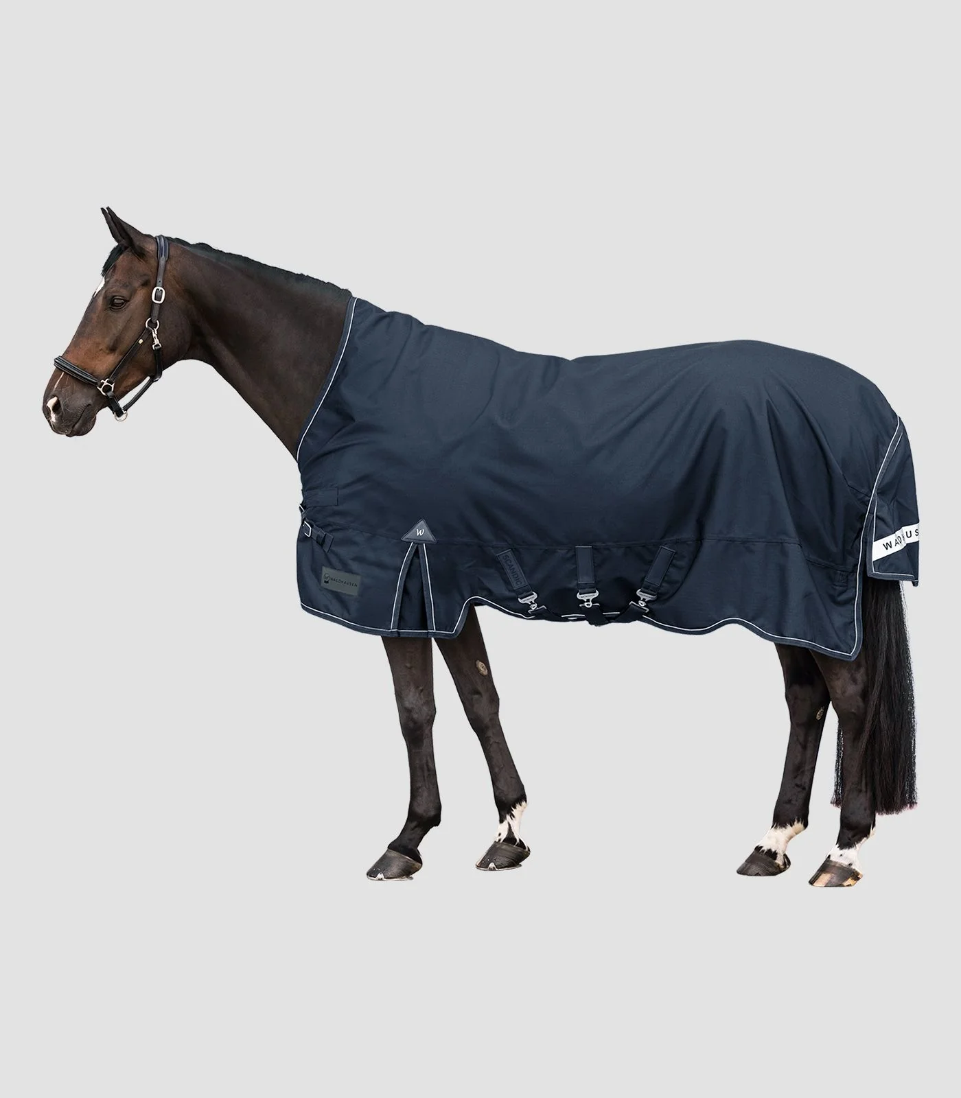 Coperta Cavallo Scandic Collo Alto 100g Invernale Premium - Image 15