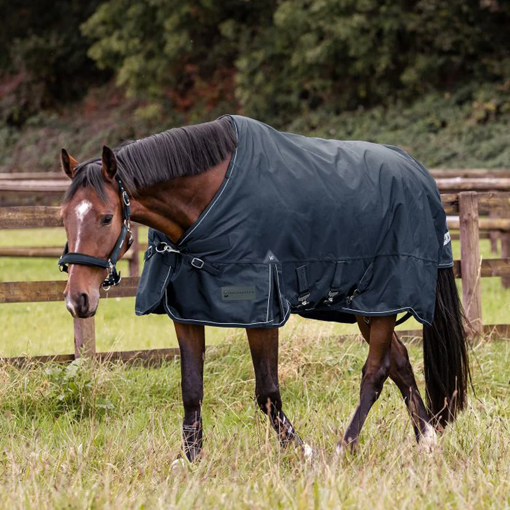 Coperta Scandic Outdoor Multi-Layer 250g/100g per Cavalli - Image 2