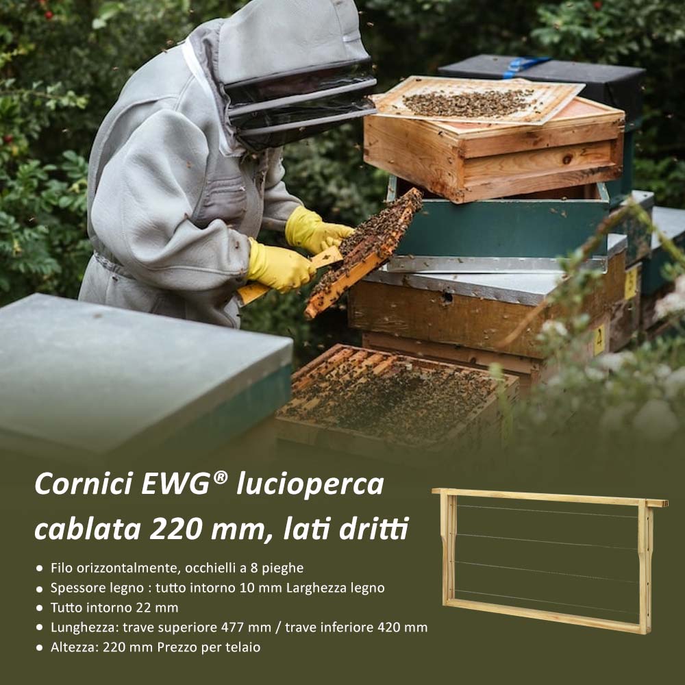 Cornici EWG® lucioperca cablata 220 mm, lati dritti - Image 6